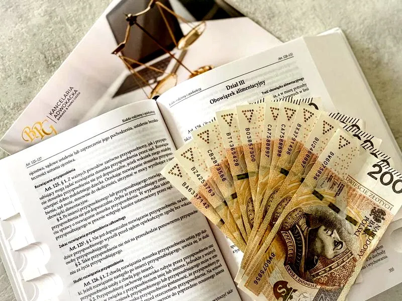 Jak skutecznie złożyć wniosek do funduszu alimentacyjnego przez internet - krok po kroku