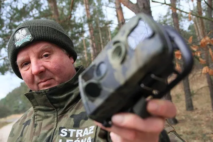 Kim stoi za sukcesem sieci Żabka? Odkryj właściciela, który rządzi Żabką!