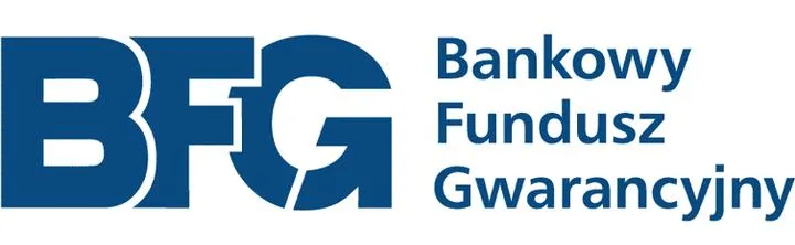 Analiza finansowa BFG