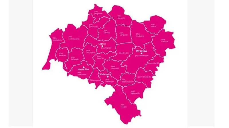 Analiza rynku węgla Tauron