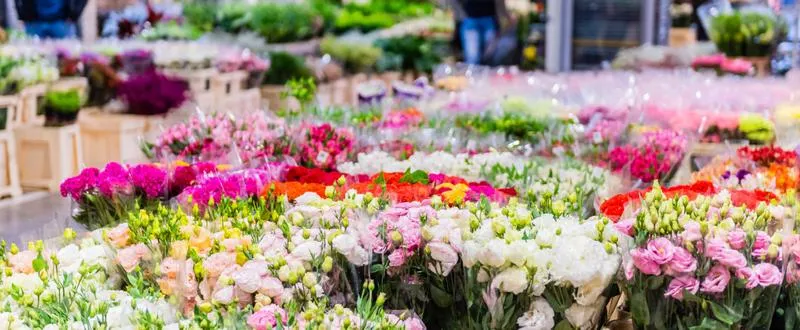 Ceny kwiatów na giełdzie