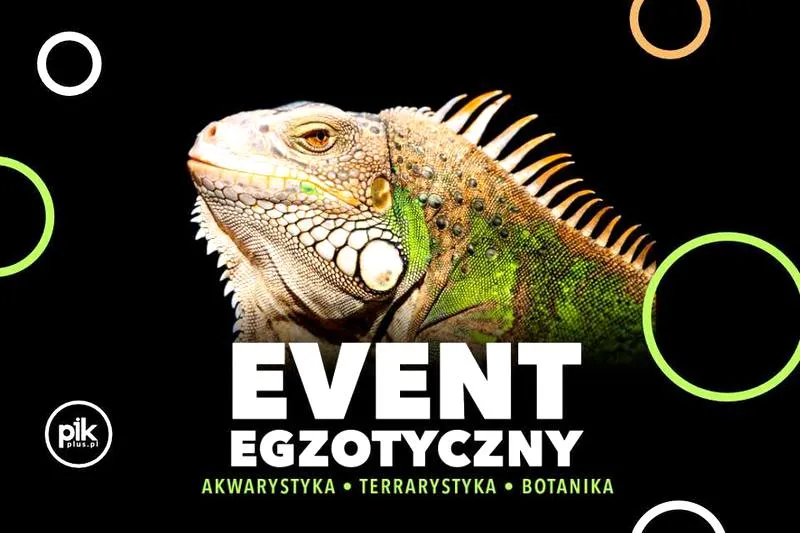 Inwestowanie na giełdzie