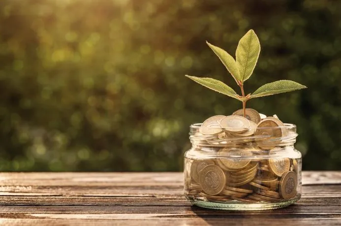 Inwestowanie w akcje