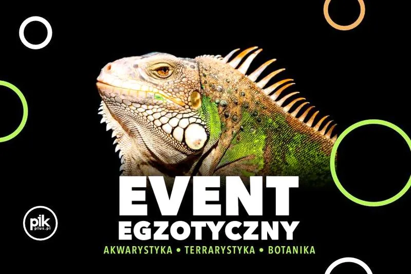 Obligacje na giełdzie
