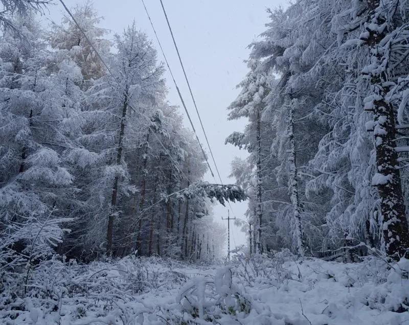 Prognozy cen akcji PGE