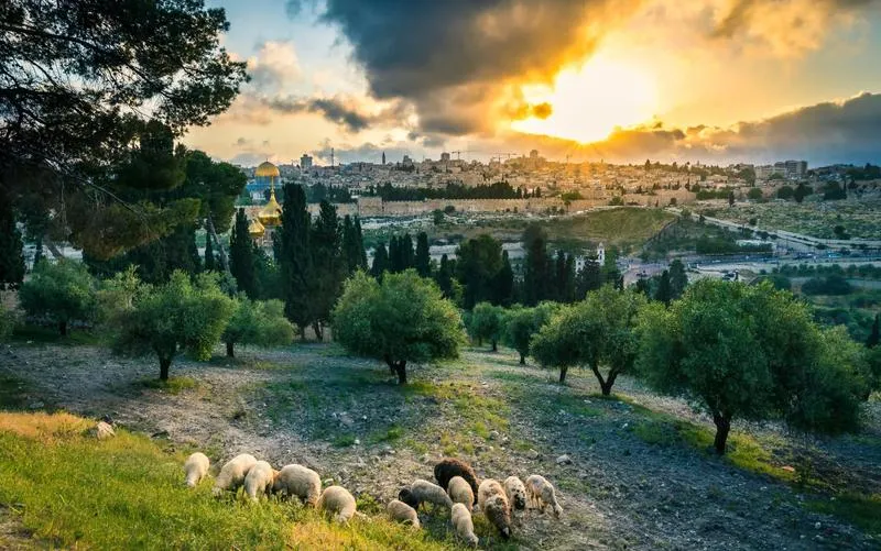 Ramallah centrum polityczne Palestyny