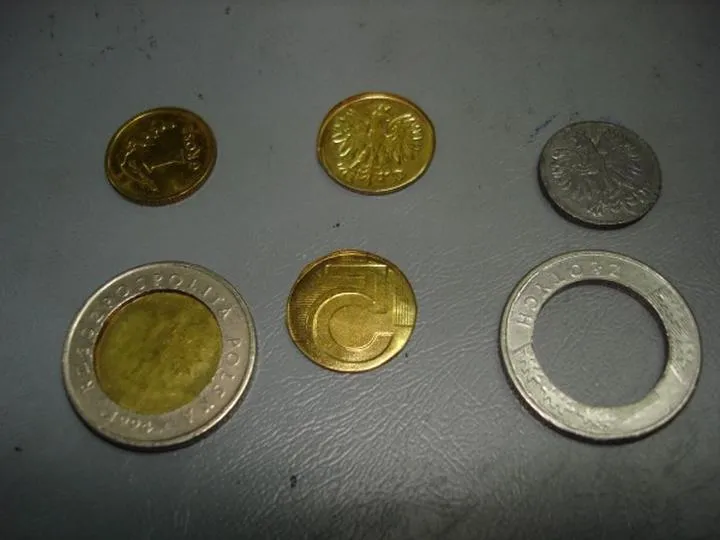 Rozpoznawanie fałszywych monet