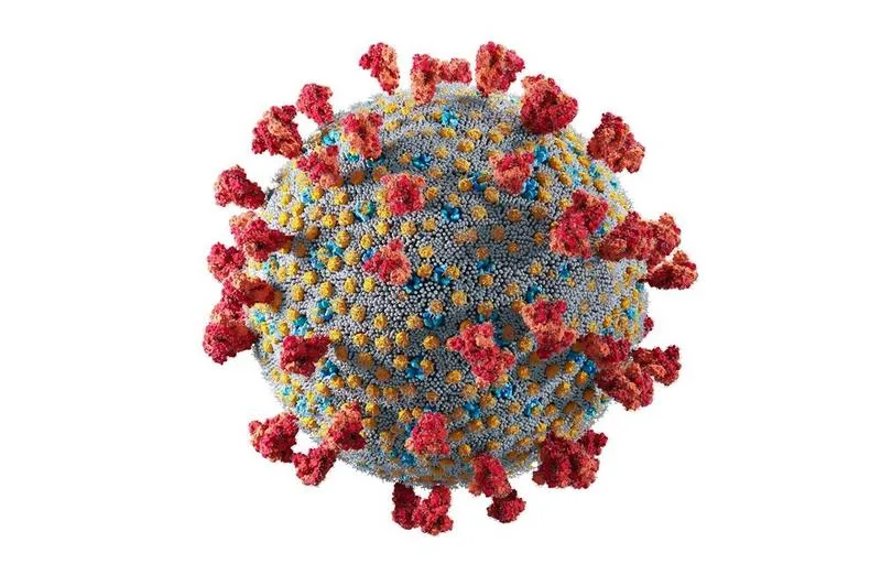 Statystyki COVID-19 w Polsce